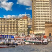 indian wine importers